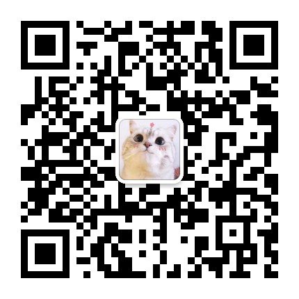 已经有不少同学开始备考了