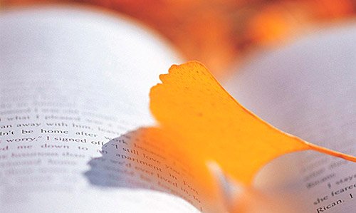 学费上涨