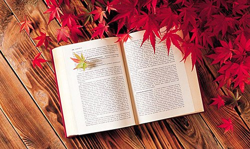 报考指数0  支持